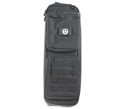 Ruger Takedown case for PC Carbine