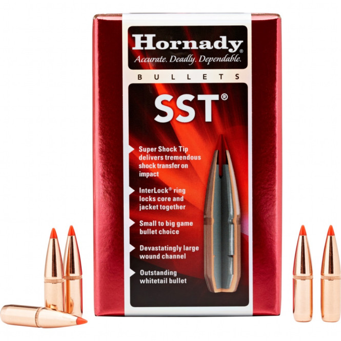 Hornady .30 180gr SST