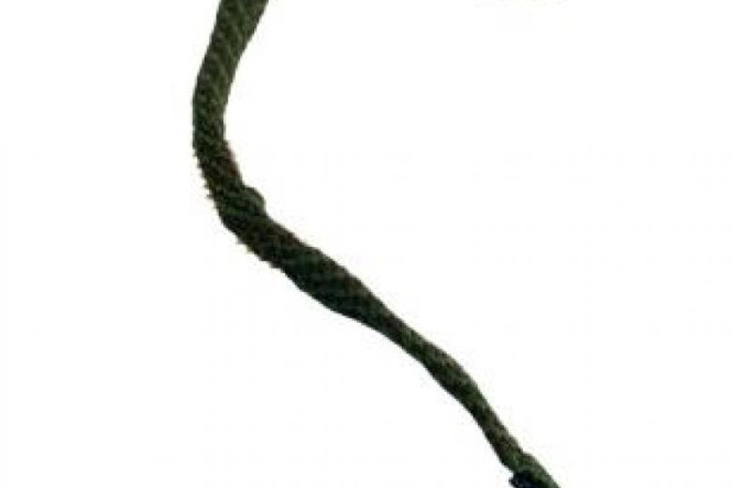 Hoppe´s Boresnake Pistol Cleaner .44, .45