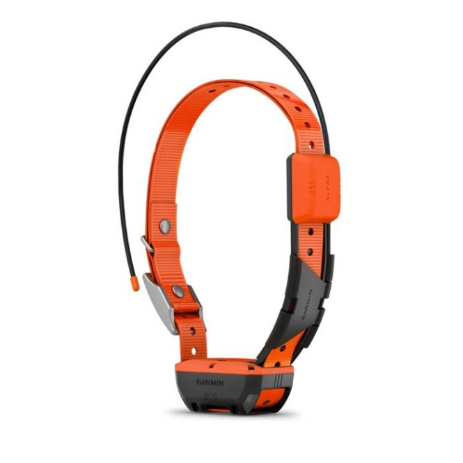 Garmin Alpha T20 Hundhalsband