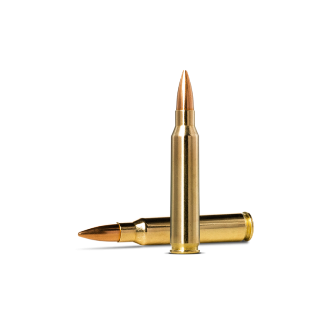 Norma .223rem 69gr Golden Target